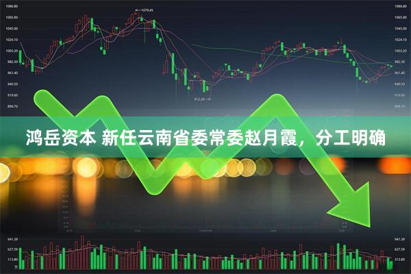鸿岳资本 新任云南省委常委赵月霞，分工明确